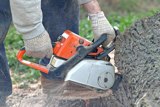 Mulching Services in Longtown, OK